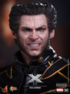Wolverine View 12