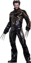 Wolverine View 16