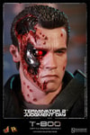 T-800 (Battle Damaged) Collector Edition View 19