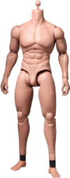 TrueType - Advanced Muscular Body View 2