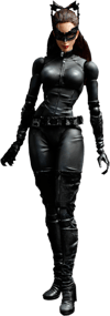 Catwoman (The Dark Knight Rises) View 5