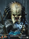 Scar Predator (Prototype Shown) View 10