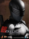 Snake Eyes View 15
