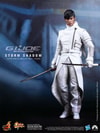 Storm Shadow View 1