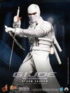 Storm Shadow View 5