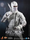 Storm Shadow View 6