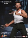The Wolverine View 8
