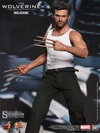 The Wolverine View 9