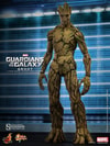 Groot View 1