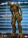 Groot View 3