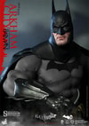 Batman Arkham City View 5