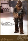 Chewbacca View 1