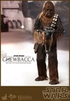 Han Solo and Chewbacca View 14