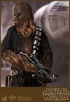 Han Solo and Chewbacca View 7