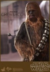 Han Solo and Chewbacca View 6