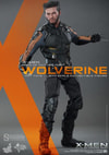 Wolverine View 1