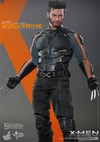 Wolverine View 8