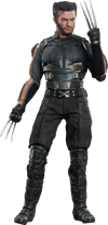 Wolverine View 18