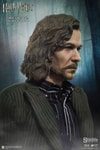 Sirius Black (Prototype Shown) View 6