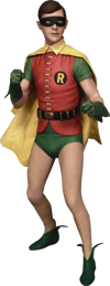 Robin the Boy Wonder (Prototype Shown) View 5