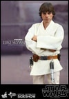 Luke Skywalker Collector Edition (Prototype Shown) View 9