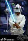 Luke Skywalker Collector Edition (Prototype Shown) View 13