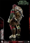 Raphael (Prototype Shown) View 5