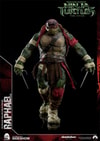 Raphael (Prototype Shown) View 18