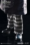 Sirius Black Prisoner Version (Prototype Shown) View 8