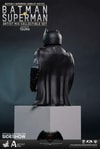 Batman (Prototype Shown) View 8