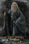 Gandalf the Grey (Prototype Shown) View 3
