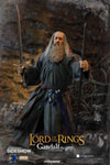Gandalf the Grey (Prototype Shown) View 6