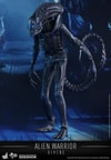 Alien Warrior (Prototype Shown) View 2
