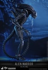 Alien Warrior (Prototype Shown) View 3