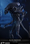Alien Warrior (Prototype Shown) View 4
