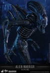 Alien Warrior (Prototype Shown) View 9
