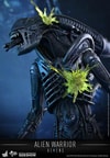 Alien Warrior (Prototype Shown) View 11