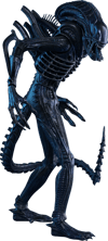 Alien Warrior (Prototype Shown) View 18