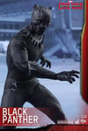 Black Panther (Prototype Shown) View 6