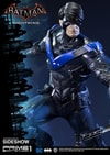 Nightwing Collector Edition (Prototype Shown) View 17