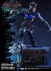 Nightwing Collector Edition (Prototype Shown) View 12