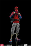 Peter Parker and Spider-man (Prototype Shown) View 10