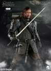 Sandor Clegane The Hound (Prototype Shown) View 6