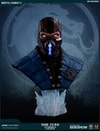 Sub-Zero Cryomancer Exclusive Edition (Prototype Shown) View 14
