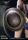 Wonder Woman (Prototype Shown) View 7