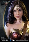 Wonder Woman (Prototype Shown) View 12