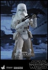 Snowtroopers (Prototype Shown) View 7