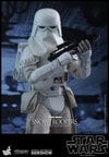 Snowtroopers (Prototype Shown) View 8