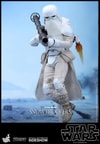 Snowtroopers (Prototype Shown) View 9