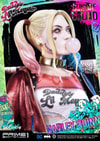 Harley Quinn Collector Edition (Prototype Shown) View 23
